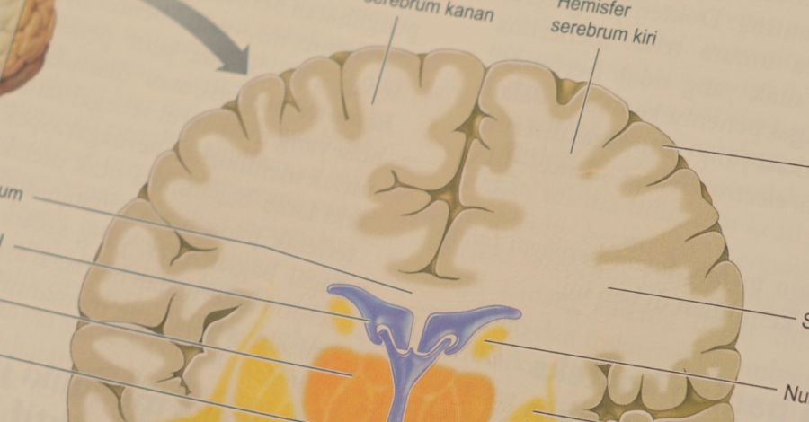 10 coisas que EU PAREI DE FAZER depois de estudar NEUROCIÊNCIA